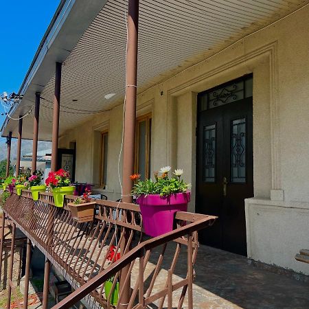 Guesthouse Kostava 72 카즈베기 외부 사진